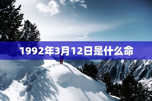 1992年3月12日是什么命