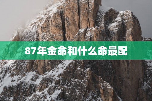 87年金命和什么命最配