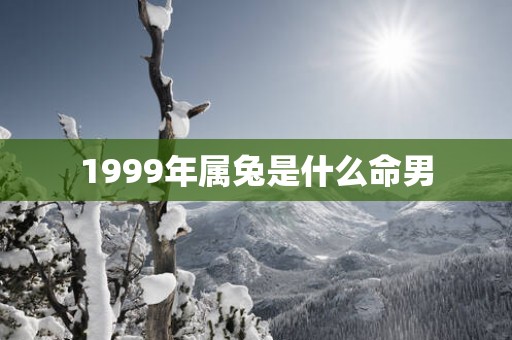 1999年属兔是什么命男