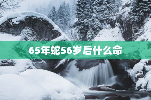65年蛇56岁后什么命