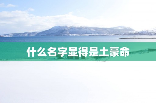 什么名字显得是土豪命