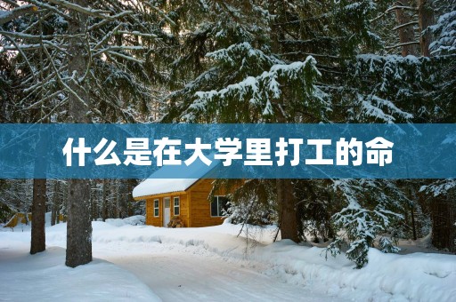 什么是在大学里打工的命