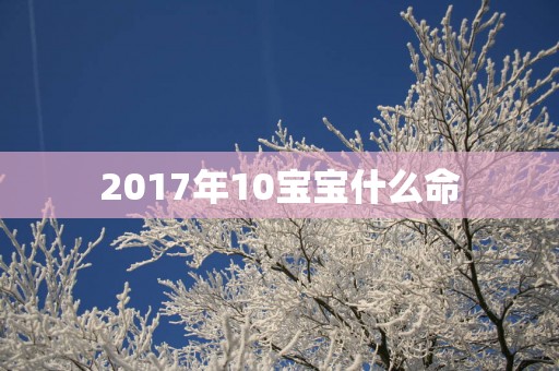 2017年10宝宝什么命