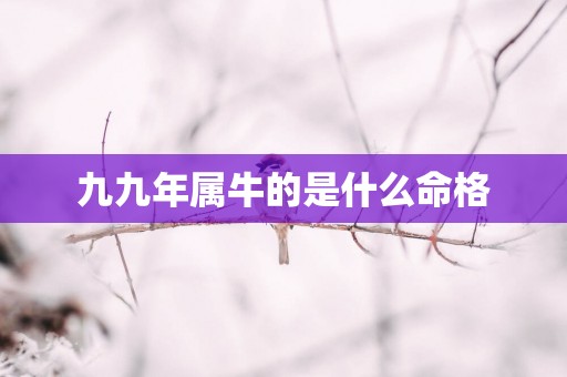 九九年属牛的是什么命格
