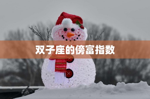 双子座的傍富指数