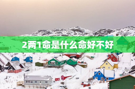 2两1命是什么命好不好