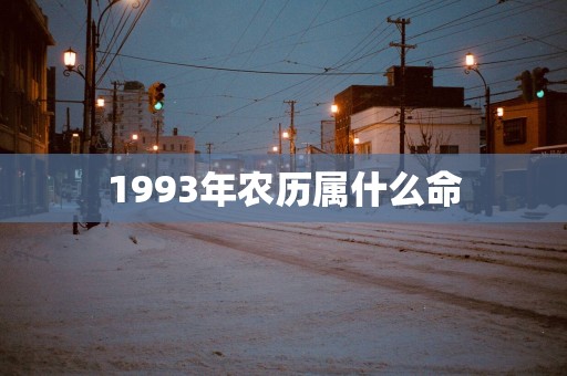 1993年农历属什么命