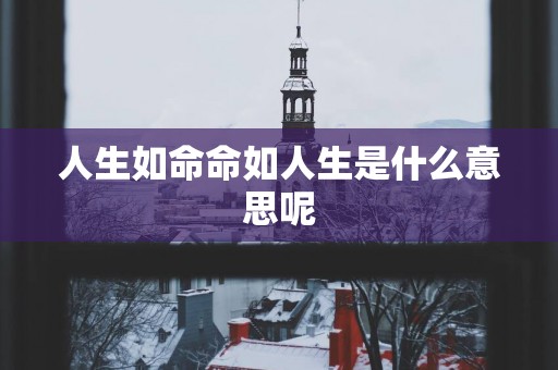 人生如命命如人生是什么意思呢