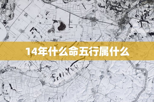 14年什么命五行属什么