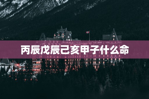 丙辰戊辰己亥甲子什么命