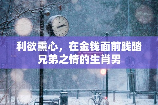 利欲熏心，在金钱面前践踏兄弟之情的生肖男