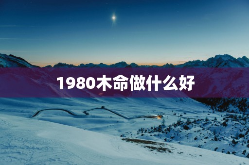 1980木命做什么好