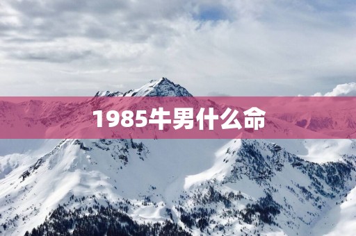 1985牛男什么命
