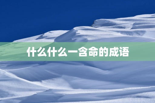 什么什么一含命的成语