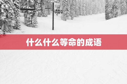 什么什么等命的成语