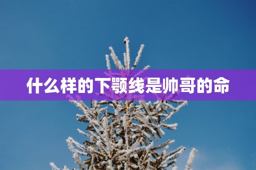 什么样的下颚线是帅哥的命