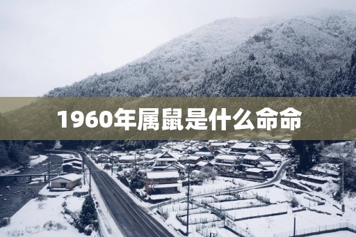 1960年属鼠是什么命命