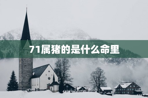71属猪的是什么命里