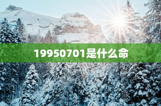 19950701是什么命