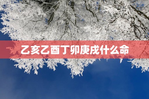 乙亥乙酉丁卯庚戌什么命
