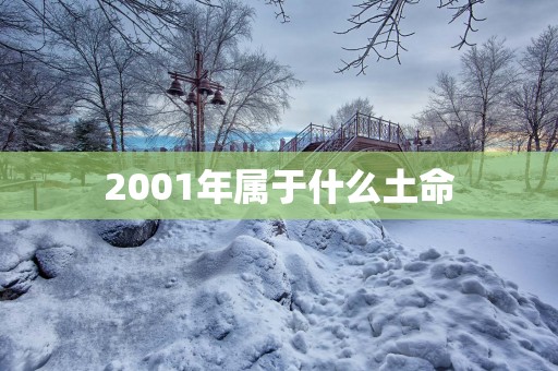 2001年属于什么土命