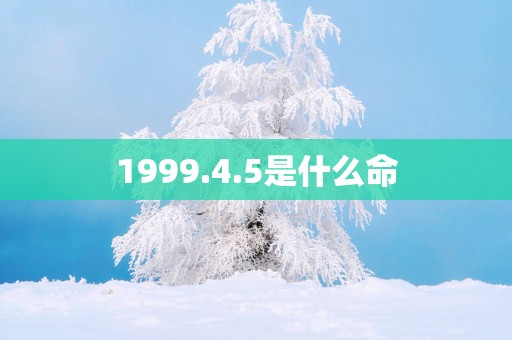 1999.4.5是什么命