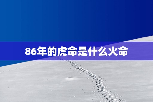 86年的虎命是什么火命
