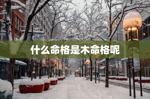 什么命格是木命格呢