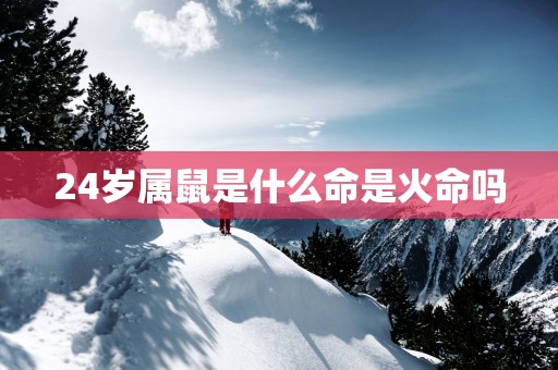 24岁属鼠是什么命是火命吗