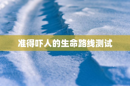 准得吓人的生命路线测试