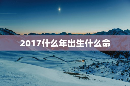 2017什么年出生什么命
