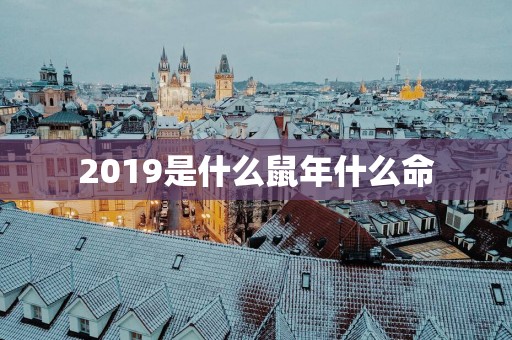 2019是什么蛇年什么命