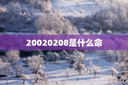 20020258是什么命