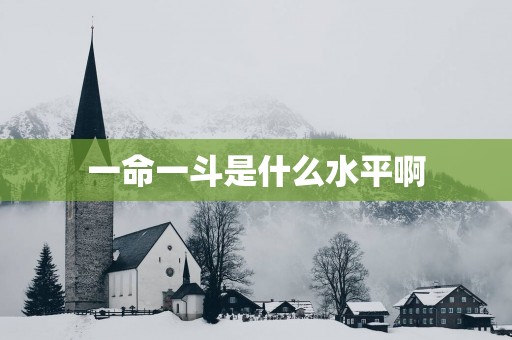 一命一斗是什么水平啊