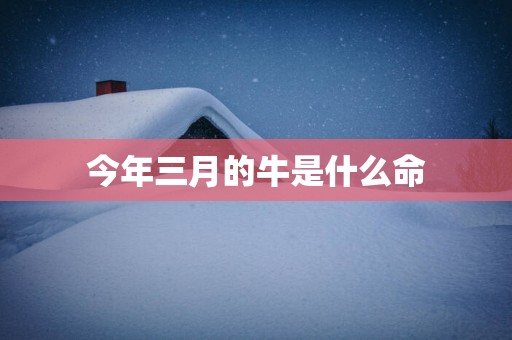 今年三月的牛是什么命