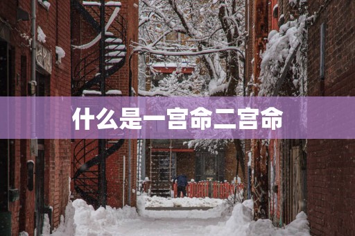 什么是一宫命二宫命