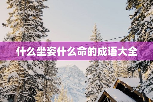 什么坐姿什么命的成语大全