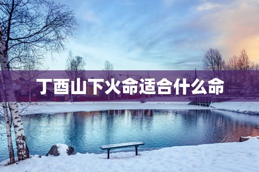 丁酉山下火命适合什么命