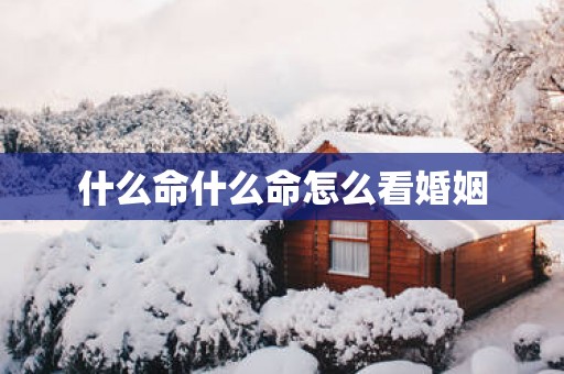 什么命什么命怎么看婚姻