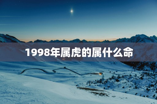1998年属虎的属什么命