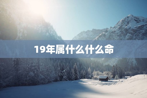 19年属什么什么命