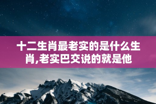 十二生肖最老实的是什么生肖,老实巴交说的就是他