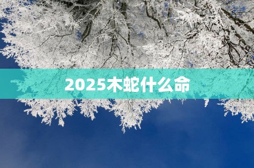 2025木蛇什么命