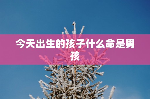 今天出生的孩子什么命是男孩