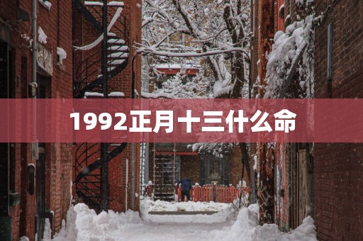 1992正月十三什么命
