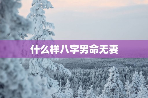 什么样八字男命无妻