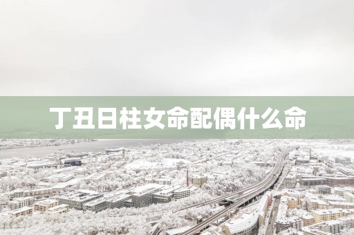 丁丑日柱女命配偶什么命