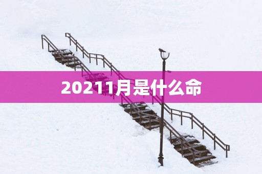 20251月是什么命