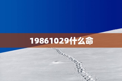 19861029什么命