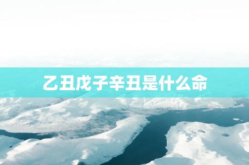 乙丑戊子辛丑是什么命